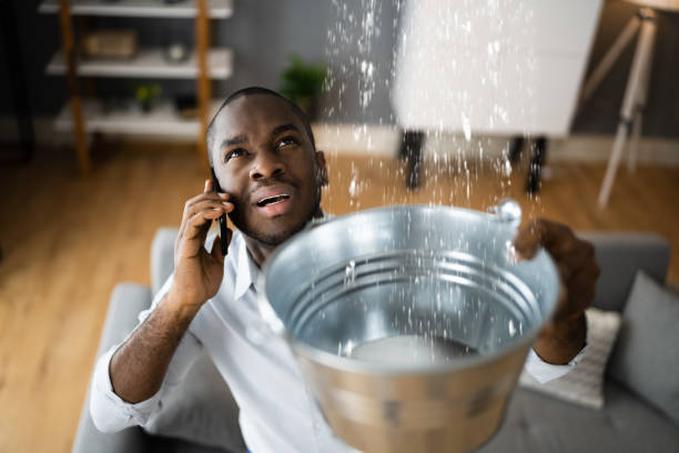 Best Basement water damage restoration  in Waterloo, NE