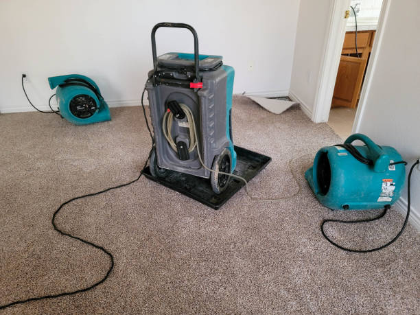 Best Water damage restoration near me  in Waterloo, NE