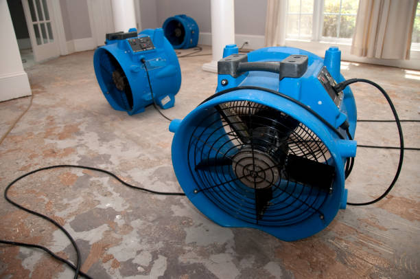 Local water damage restoration in NE