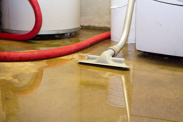 Professional Water damage restoration in NE