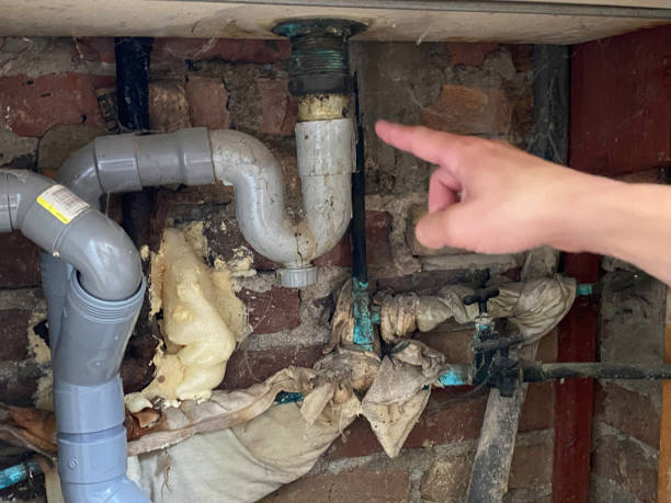 Best Carpet water damage restoration  in Waterloo, NE